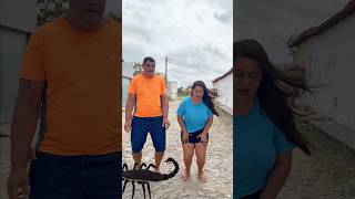 Pulando os animais 😱