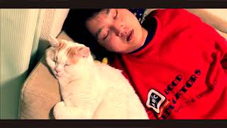 Download Lagu P-PONG - 猫と僕 (Prod.774)【Official Music Video】 MP3