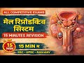 15 मिनट में Male Reproductive System Complete | PYQ Questions | SSC Railway UPSC