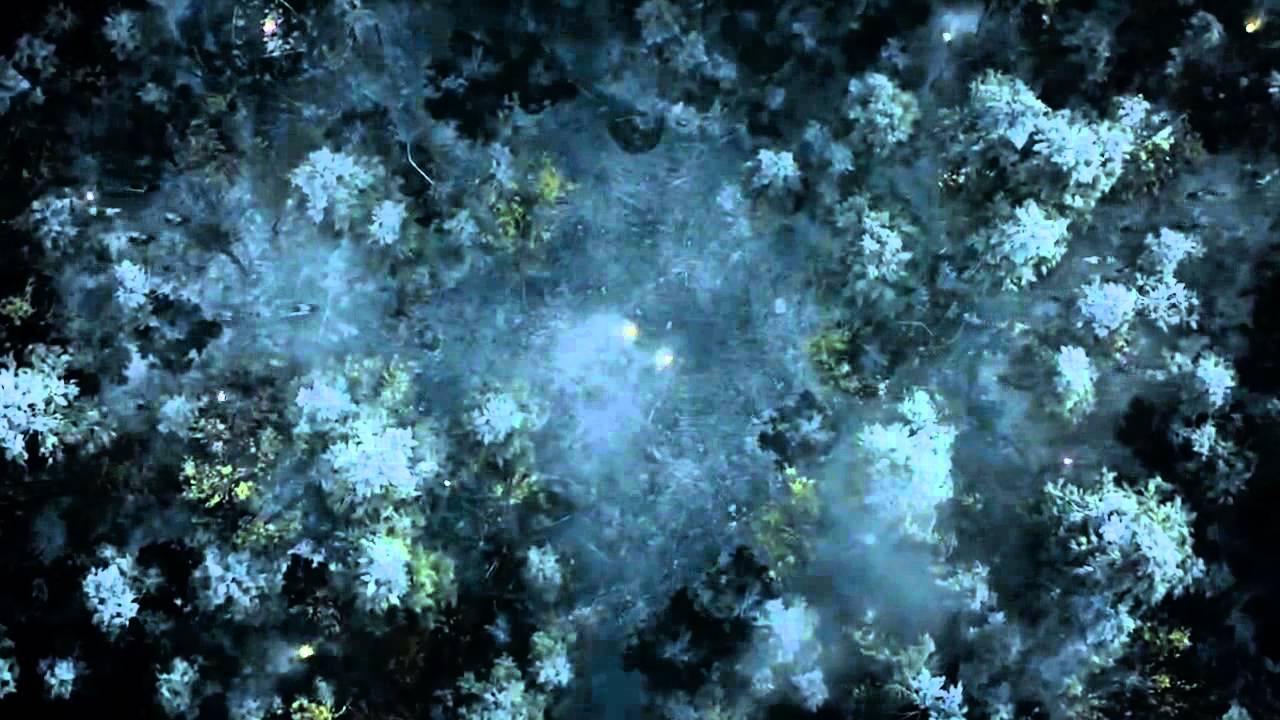 Stannis Baratheon Tribute - The Way