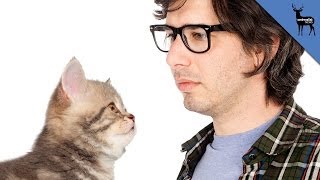 Why Cats Are Better Than Humans
