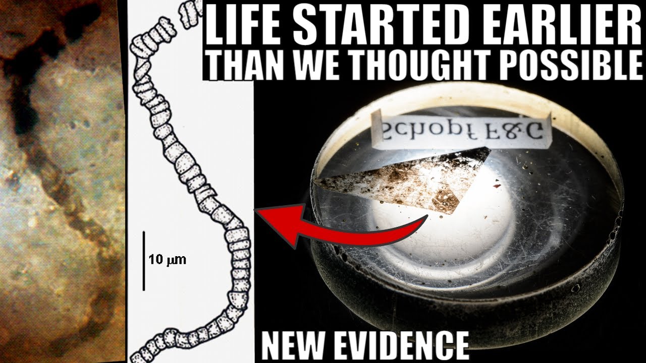 Evidence That Life Started On Earth Much Earlier Than We Thought - YouTube