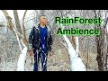 Toronto forest hiking asmr sounds  spring rain  snowfall