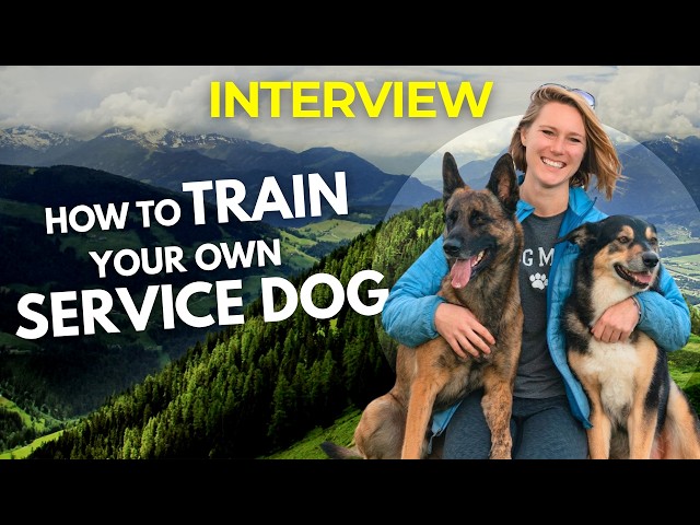 How Can I Train a Service Dog: Expert Tips