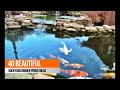 40 Beautiful Backyard Garden Ponds Ideas 40 Beautiful Backyard Garden Ponds Ideas