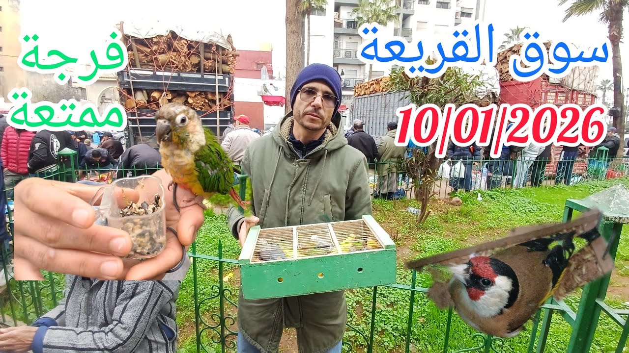 سوق القريعة للطيور🇲🇦السبت10/01/2026أجي نتولعو نتعرفو على ثمن مختلف الطيورلخير موجود الله يسخر للجميع