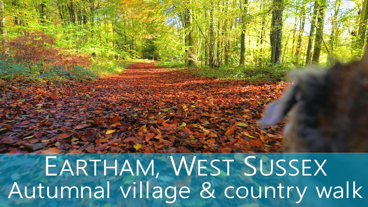 Eartham, West Sussex; autumnal village & country walk