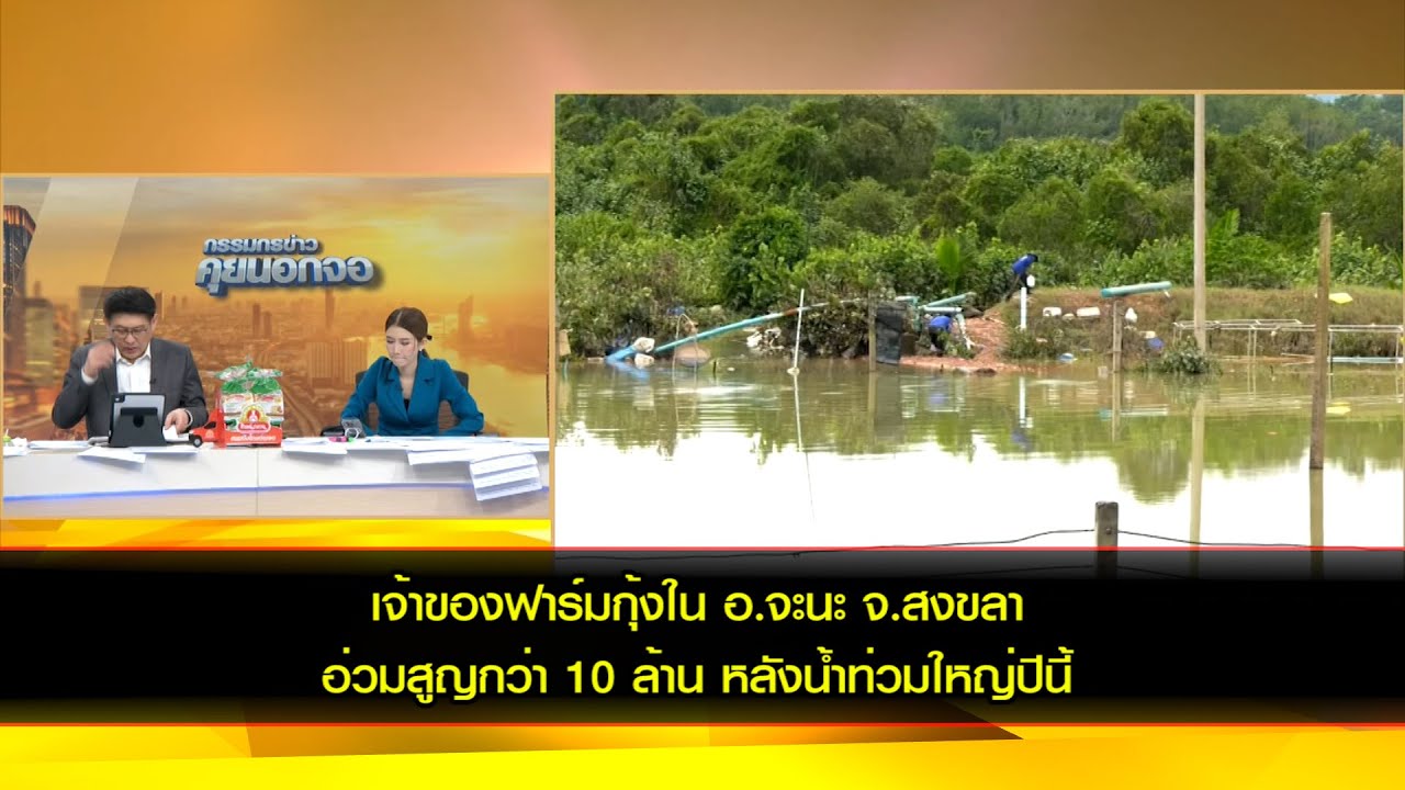 เจ้าของฟาร์มกุ้งใน อ.จะนะ จ.สงขลา อ่วมสูญกว่า 10 ล้าน หลังน้ำท่วมใหญ่ปีนี้