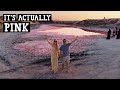 Pink Lake UAE (Is it worth the HYPE???)