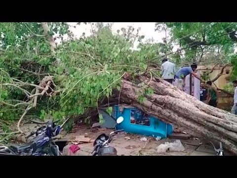 Dust storm devastates parts of north and western India | ITV News