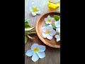 Plumeria. How to make paper flowers. #shorts #paperflower #papercraft #flowermaking