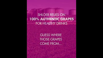 cobranding  shloer julian soler