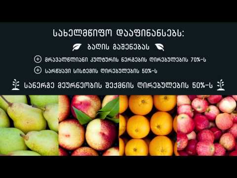 ახალი პროექტი – დანერგე მომავალი დაიწყო