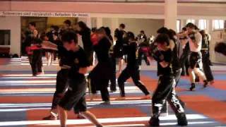 Fightclub Freiburg Kickboxen Gürtelprüfung