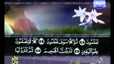 ختمة الشيخ سعد الغامدي 102 سورة التكاثر