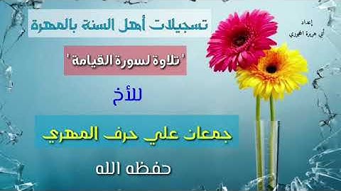 تلاوة جميلة لسورة القيامة / للأخ جمعان المهري