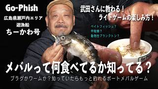 【Go-Phish武田栄】極上カラーで狙うメバルの捕食パターンに合わせたルアーセレクト