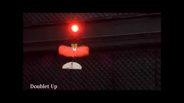 DelFly Flapping Wing Micro Aerial Vehicle System Identification Maneuvers