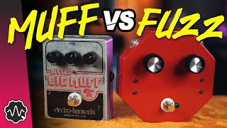 MUFF vs FUZZ: What's the Difference? | Too Afraid To Ask
