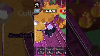 Opening 2 Paradise 1 Mythical 1Bug Egg