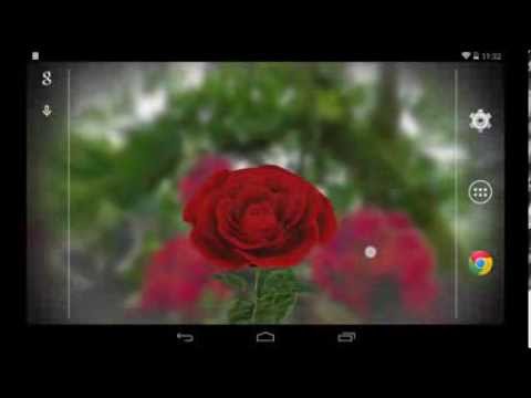 3D Rose Live Wallpaper Lite