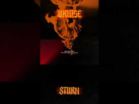 8TURN 에잇턴 BRUISE 불씨 HIGHLIGHT CLIP Shorts 