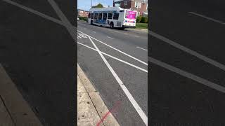 Septa route 31 bus