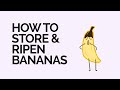 How to Store & Ripen Bananas