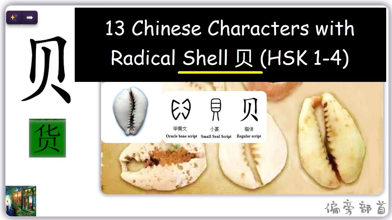 Learn 13 Chinese Characters With Radical Shell 贝 Hsk 1 4 Youtube