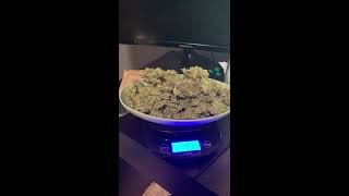 Pineapple Express Auto Results!