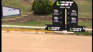 Angle-Park-03022016-Race-9