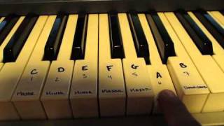 Celebrity Diatonic Harmony Chart Profile