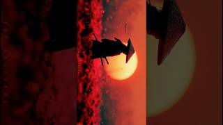 Japan turned footsteps to be succeed #avee_player #phonk