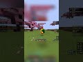 Dueling Dune_XD #catpvp #itsang #minecraft #minecraft18pvp #minecraftbedrockpvp #minecraftcombat