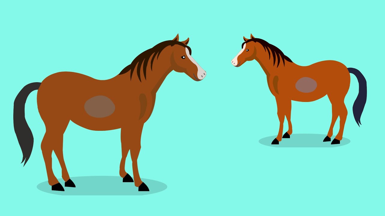 Horse Sound Effects Horse Whinny SFX Animal Sound Effects Best