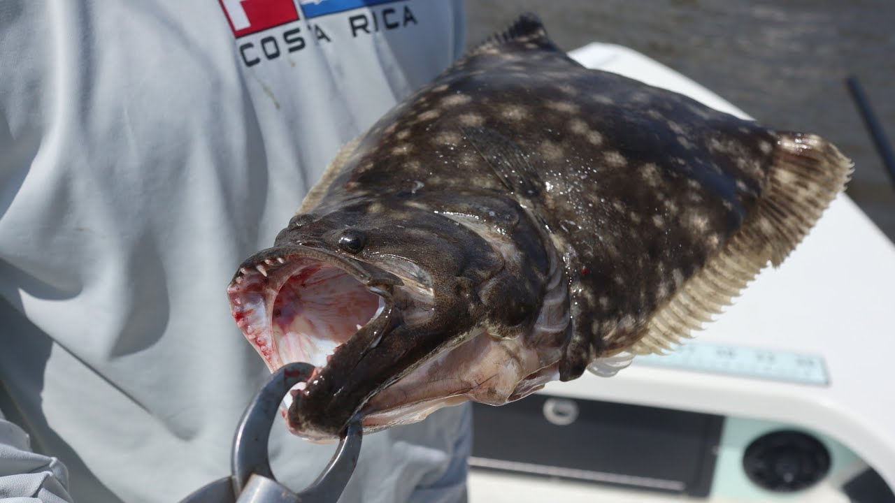 Doormat Flounder Catch & Cook Mexican Style YouTube