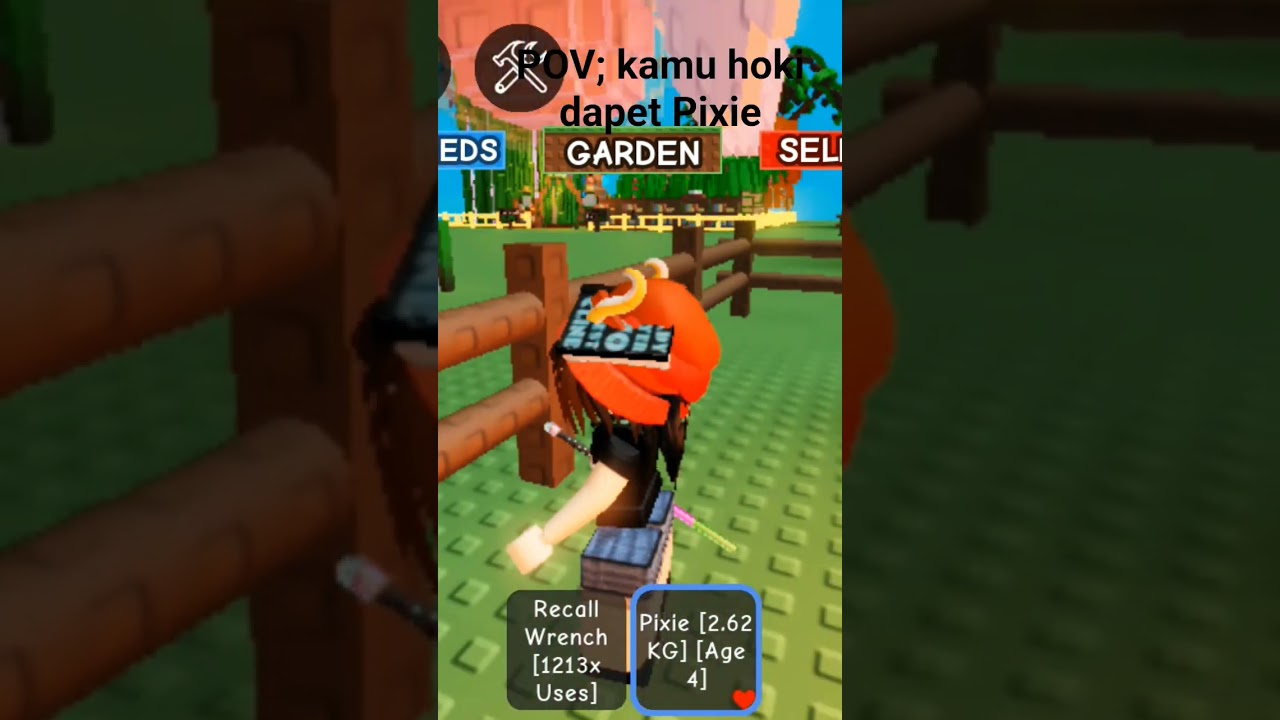 hoki cuy dapet Pixie dan setan