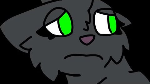 Waiting On A Miracle  ||HollyLeaf MAP Part 5||