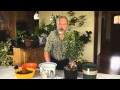 Bountiful Bonsai book trailer