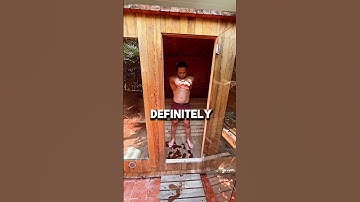 No-Code SaaS is the business model making even teenagers millions!