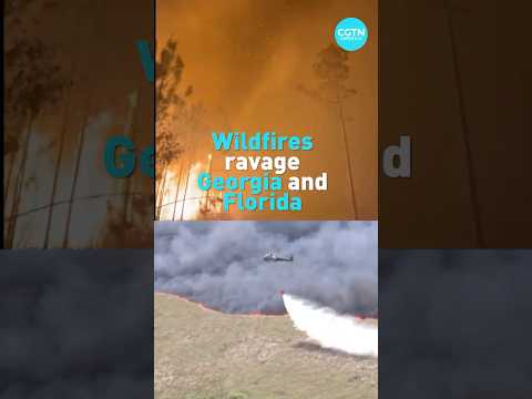 Wildfires ravage Georgia and Florida