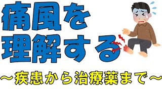 【痛風】この疾患の全体像を把握したい方はコチラ　医療系学生必見！