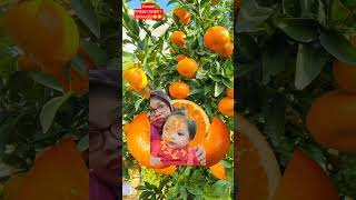 WOW AMAZING ORANGE FRUIT TREE! Whose inside?#asmr#foryou #shorts #viral#trending #video #orange