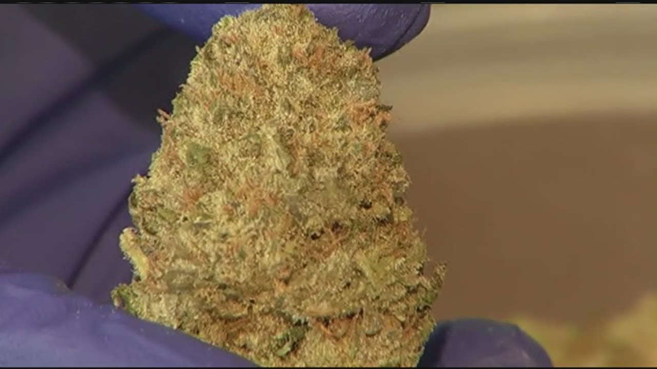 What is delaying the regulations of recreational pot shops?