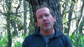 Solved!? Mystery of Fast Radio Bursts