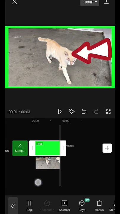 making green screen videos for beginners capcut