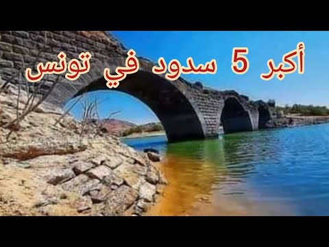 أكبر 5 سدود في تونس