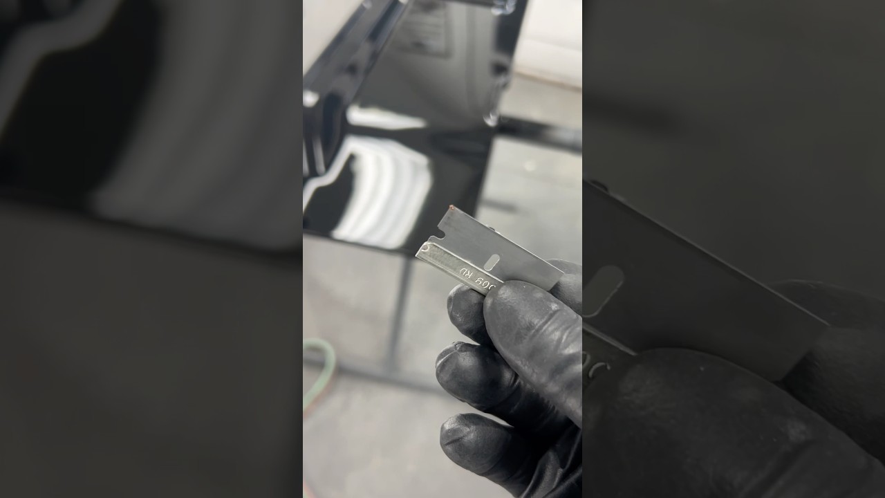 Found a bug in my paint job