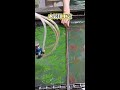 Unleash water transfer printing power - everything can be renewed! #Water Transfer Printing