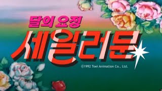 Sailor Moon (美少女戦士セーラームーン, 달의 요정 세일러문) Opening (Korean)